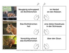 Eichhörnchen-Satzteile-verbinden-einfach 2.pdf